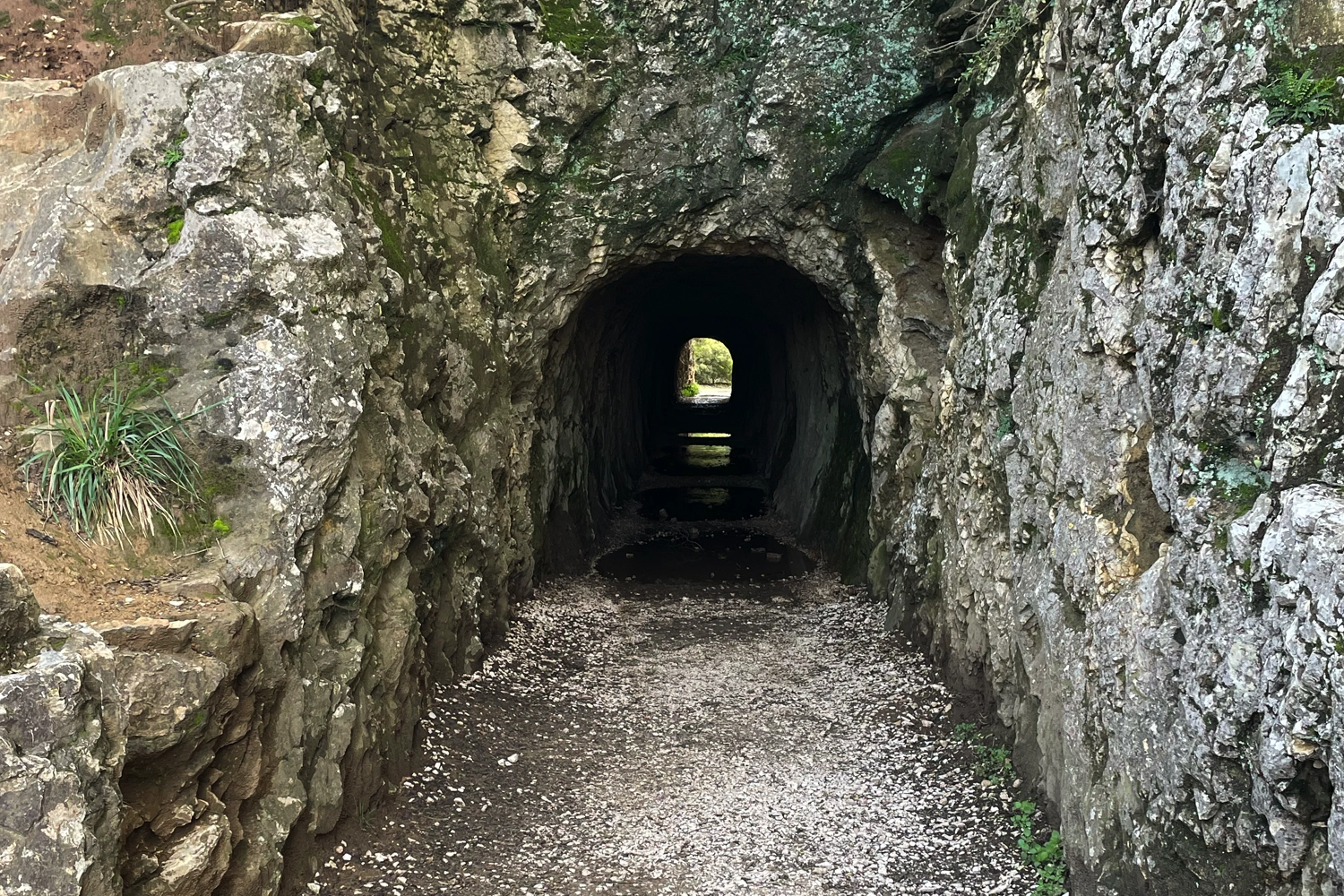Le Gardon au pied du Pont du Gard